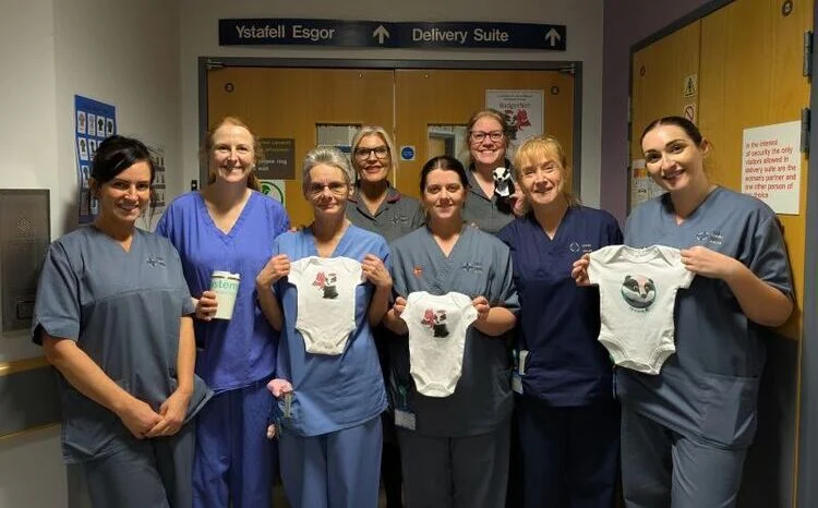 A New Era for Welsh Maternity Care: The National Rollout of BadgerNet