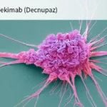 A New Horizon for BPDCN: FDA Approves Pivekimab Sunirine as Targeted Therapy for Rare Malignancy