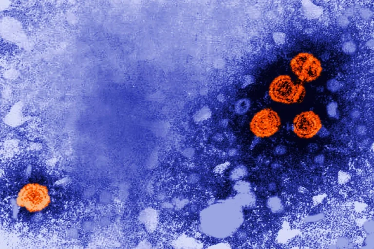 A Potential Turning Point: New Drug Offers Hope for a "Functional Cure" for Chronic Hepatitis B