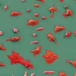 A Watershed Moment: Daraxonrasib and the New Frontier in Pancreatic Cancer Treatment