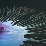 ArteraAI Receives FDA Clearance for Breast Cancer Diagnostic Tool, Expanding its Multimodal AI Oncology Portfolio