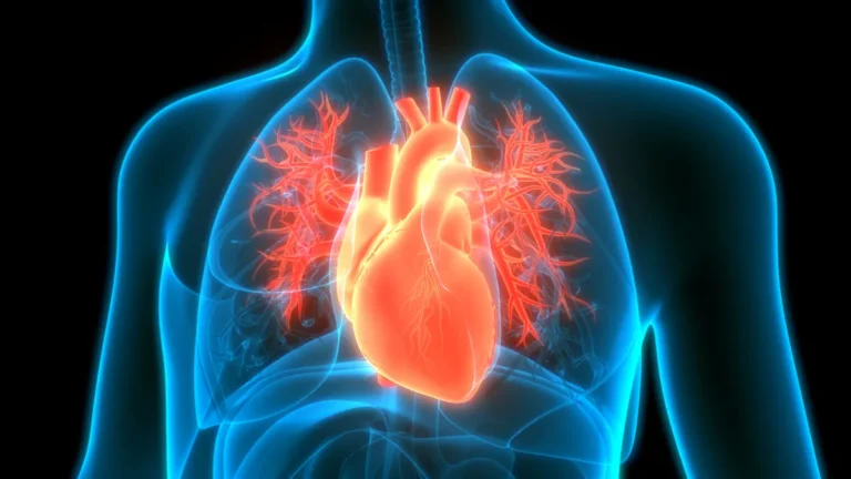 Artivion Prepares for Strategic U.S. Launch of Nexus Aortic Arch System as Competitive Landscape Shifts