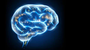 Beyond Symptom Management: New Vitamin K Analogues Offer Hope for Brain Regeneration