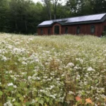 Beyond the Blanket: Inside Vermont’s Inner Fire and the Radical Quest to Taper from Psychotropic Medications