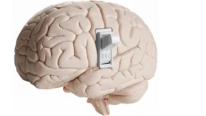 Beyond the Neuron: New Research Unveils the Brain’s Hidden Appetite-Control Network