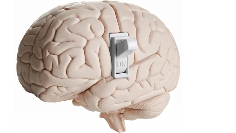 Beyond the Neuron: New Research Unveils the Brain’s Hidden Appetite-Control Network