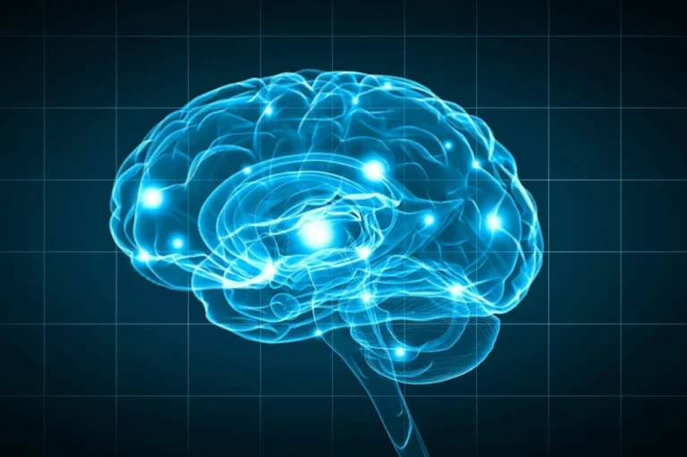 Beyond the Smoke: Why Weight Management is the Missing Link to Brain Longevity After Quitting