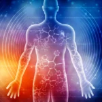 Beyond Weight Loss: How Prolonged Fasting Rewires the Human Body