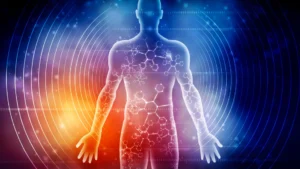Beyond Weight Loss: How Prolonged Fasting Rewires the Human Body