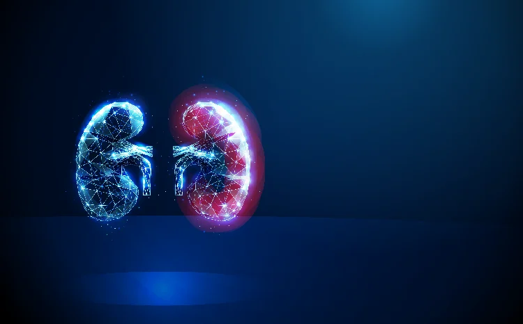 Bridging the Gap: Diaverum Launches AI-Powered Kidney.com to Revolutionize Renal Health Education