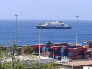 Crisis at Sea: WHO Investigates Rare Hantavirus Outbreak Aboard Cruise Ship