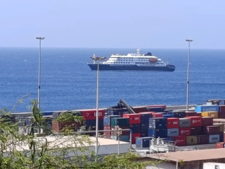 Crisis at Sea: WHO Investigates Rare Hantavirus Outbreak Aboard Cruise Ship
