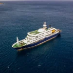 Echoes of Disinformation: How the Cruise Ship Hantavirus Outbreak is Testing Public Health Communication