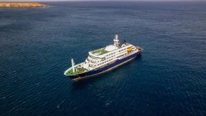 Echoes of Disinformation: How the Cruise Ship Hantavirus Outbreak is Testing Public Health Communication