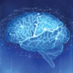 Enhancing Surgical Outcomes: The Geriatric Surgery Verification (GSV) Revolution
