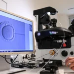 Federal Proposal to Streamline Fertility Benefits Faces Skepticism Over Potential for Widespread Adoption