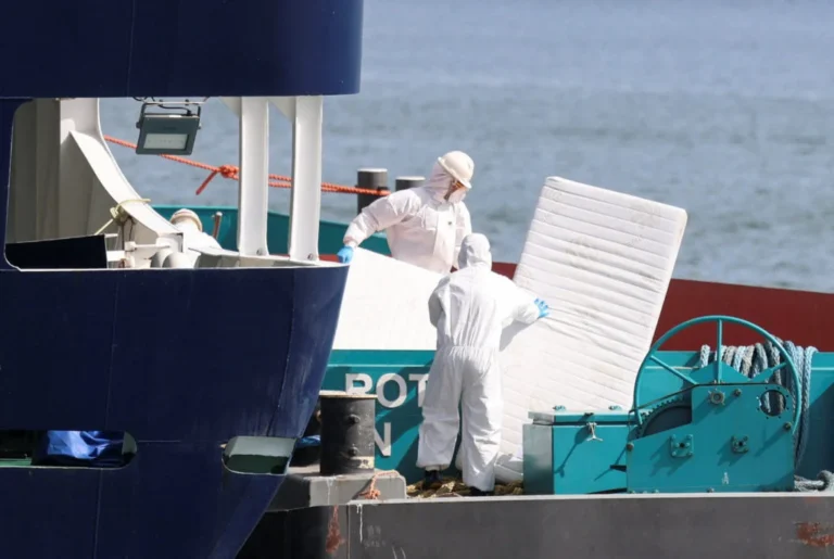 Global Health Alert: MV Hondius Docks in Rotterdam Following Deadly Hantavirus Outbreak
