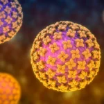 Hantavirus Watch: U.S. Authorities Monitor 41 Amid Global Cruise Ship Crisis
