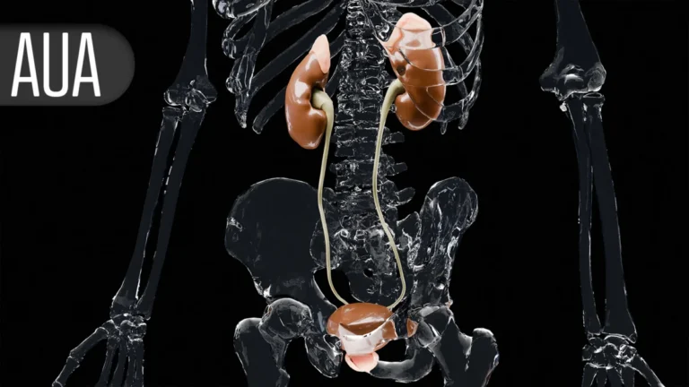 New Hope for Bladder Preservation: Pembrolizumab-BCG Combo Shows Promise in High-Risk NMIBC