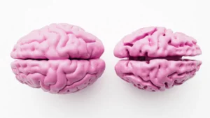 Preserving Brain Integrity: New Research Reveals How "Brain Age" Buffers Alzheimer’s Cognitive Decline