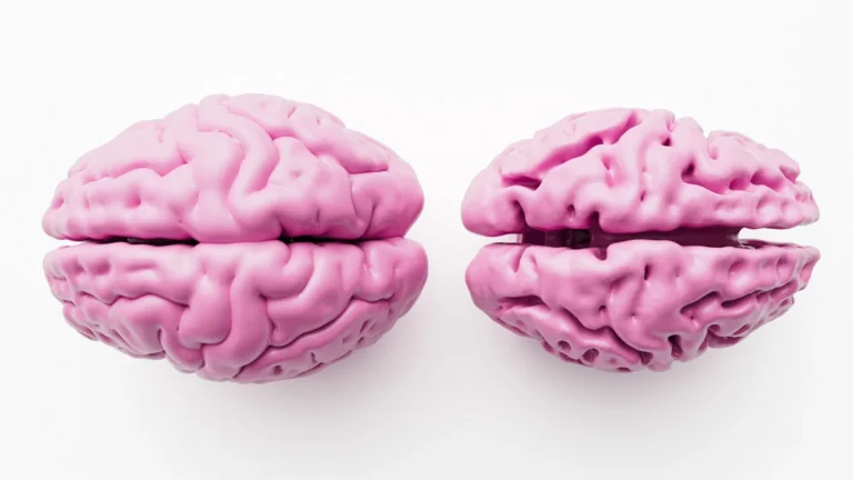 Preserving Brain Integrity: New Research Reveals How "Brain Age" Buffers Alzheimer’s Cognitive Decline