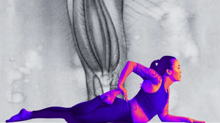 The Architecture of Movement: Balancing Strength and Flexibility in Your Quadriceps