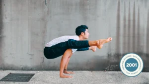 The Art of Flight: Mastering Tittibhasana (Firefly Pose)