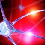 The Chemical Blueprint of Anxiety: How Choline Levels Could Redefine Mental Health Treatment