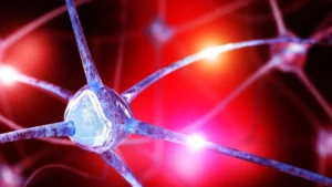 The Chemistry of Calm: How Choline Levels May Hold the Key to Understanding Anxiety