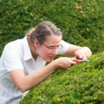 The Double-Edged Sword of Excellence: Unpacking the Psychology of Perfectionism