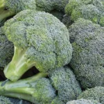 The Green Renaissance: Why Broccoli Is Reclaiming Its Title as the World’s Ultimate Superfood