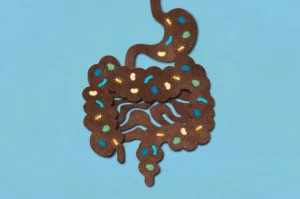 The Gut-Brain Axis: How Microbiome Dysbiosis Shapes the Architecture of Sleep