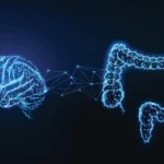 The Gut-Brain Intelligence: New Discovery Reveals How Our Bodies "Crave" Essential Nutrients