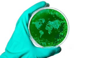 The Hidden Global Tax: How Tuberculosis Erodes 0.8% of the World’s Economic Potential