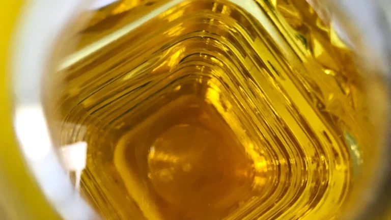 The High Cost of the "Seed Oil" Panic: A Clinical Reality Check