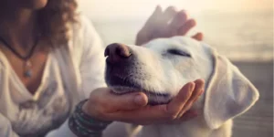 The Low-Pressure Paradigm: Redefining Stress Management for Bipolar Disorder and Anxiety