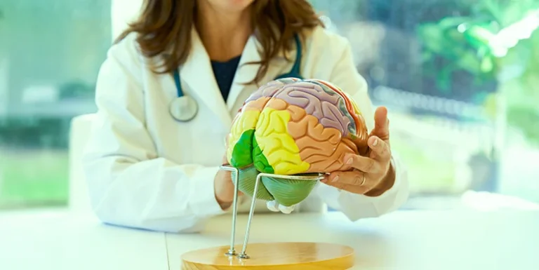 The Neurological Architecture of Bipolar Impulsivity: Moving Beyond the Willpower Myth