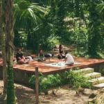 The New Frontier of Stillness: Why Mexico Has Become the World’s Premier Wellness Sanctuary