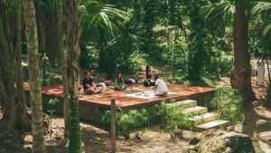 The New Frontier of Stillness: Why Mexico Has Become the World’s Premier Wellness Sanctuary