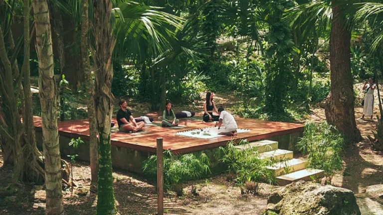 The New Frontier of Stillness: Why Mexico Has Become the World’s Premier Wellness Sanctuary