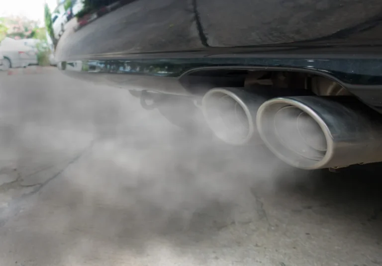 The Paradox of Progress: How Ozone Pollution Stunts the Respiratory Benefits of Childhood Exercise