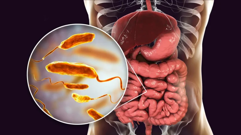 The Protein Shield: How Dietary Shifts Could Become a New Frontier in Fighting Cholera