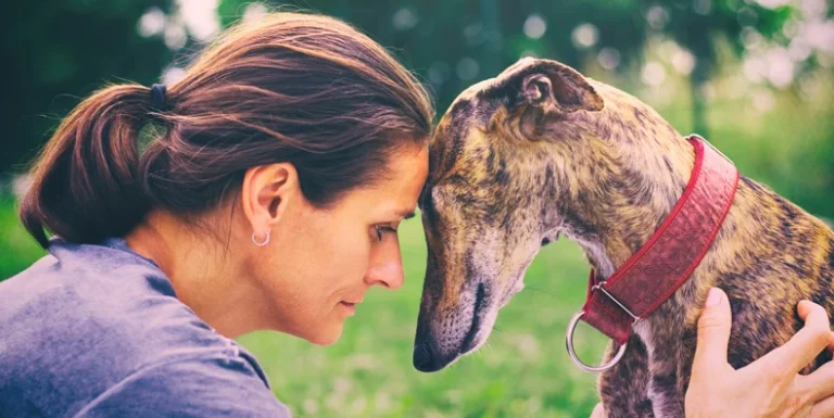 The Sentinel at the Feet: How Canines Serve as Biological Early Warning Systems for Bipolar Disorder
