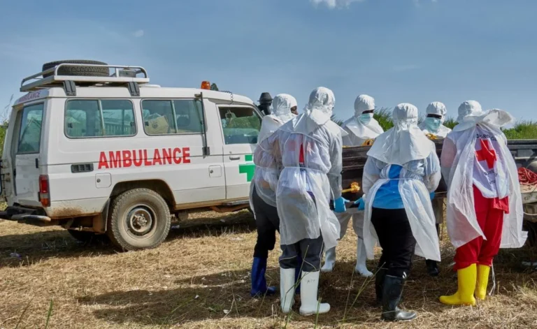 The Shadow of Contagion: Assessing the Crisis of the Central African Ebola Outbreak