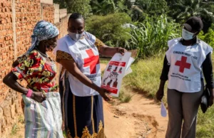 The Shadow of the Bundibugyo Virus: Confronting a Rare and Elusive Ebola Outbreak in the Congo