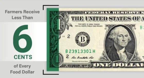The Shrinking Slice: Why the American Farmer is Being Priced Out of the Food Dollar