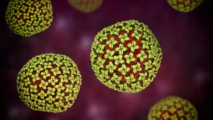 The Silent Threat: Three Decades of Hantavirus Surveillance in the United States