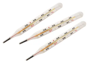 The Thermal Trigger: How Skin Temperature Regulates Brain States in Narcolepsy