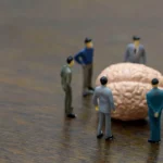The Vagus Nerve Myth: Deconstructing the Pseudoscience of Polyvagal Theory