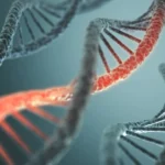 Unlocking the Cellular Shield: New Discovery in Alpha-1 Antitrypsin Deficiency Offers Hope for Liver Disease